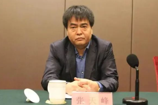 热丰网 打＂虎＂！许传智被查