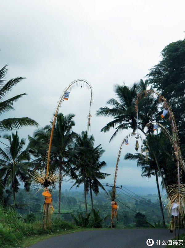 日斗优配 探秘保亭呀诺达雨林：海南的绿色心脏与文化熔炉